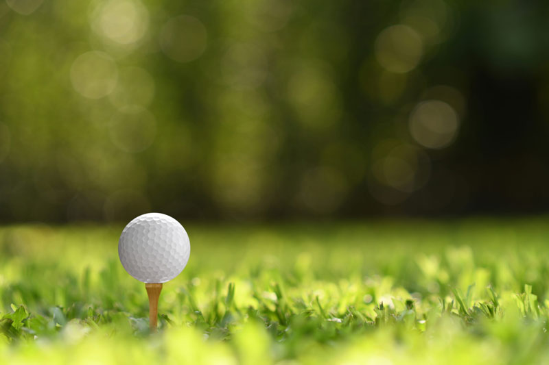 Golf Lessons for Beginners