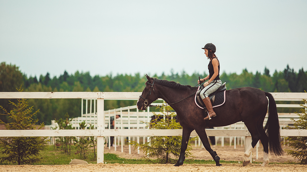 the-girl-rides-horse.jpg